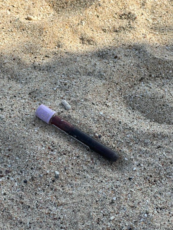 华盛配资 游客在涠洲岛沙滩上捡到采血管？涠洲岛医院回应