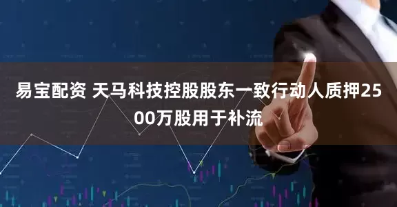 易宝配资 天马科技控股股东一致行动人质押2500万股用于补流