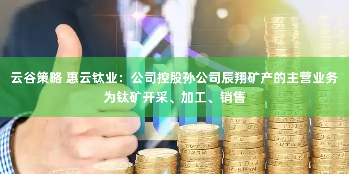 云谷策略 惠云钛业：公司控股孙公司辰翔矿产的主营业务为钛矿开采、加工、销售